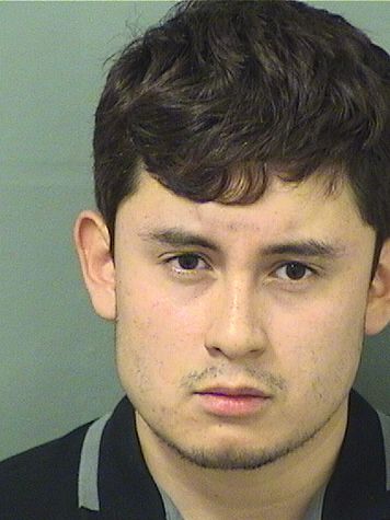  JULIAN DAVID CABEZA Results from Palm Beach County Florida for  JULIAN DAVID CABEZA