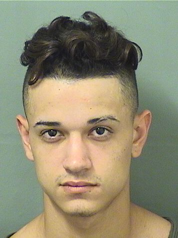  CHRISTIAN RODRIGUEZFERNANDEZ Results from Palm Beach County Florida for  CHRISTIAN RODRIGUEZFERNANDEZ