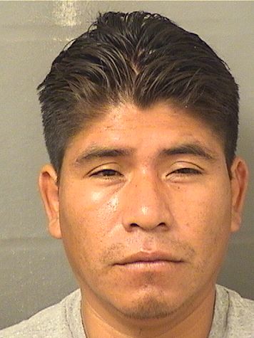  SAUL ZACORIAS Results from Palm Beach County Florida for  SAUL ZACORIAS