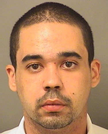  JOSEPH A FARKAS Results from Palm Beach County Florida for  JOSEPH A FARKAS