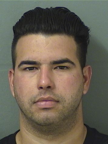  LEDIER VEGA Results from Palm Beach County Florida for  LEDIER VEGA