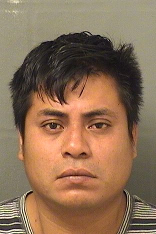  VEDARMINO BRAVOMIGUEL Resultados de la busqueda para Palm Beach County Florida para  VEDARMINO BRAVOMIGUEL