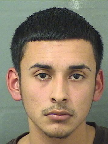  JOSE M SOLORZANO Results from Palm Beach County Florida for  JOSE M SOLORZANO