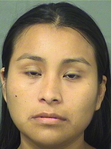  ANGELICA MERCEREAU Results from Palm Beach County Florida for  ANGELICA MERCEREAU