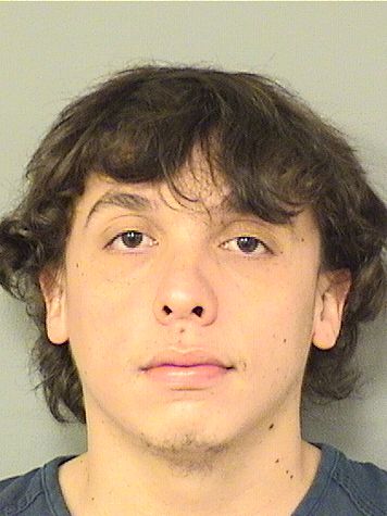  ANDREW L TRAMMELL Results from Palm Beach County Florida for  ANDREW L TRAMMELL