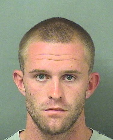  PETER J IV PALLOTTA Resultados de la busqueda para Palm Beach County Florida para  PETER J IV PALLOTTA