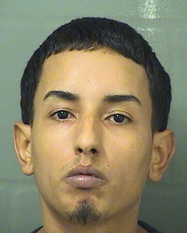  JORGE ALFREDO MELENDEZHERNANDEZ Results from Palm Beach County Florida for  JORGE ALFREDO MELENDEZHERNANDEZ