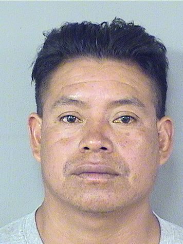 RAMIREZ JUAN DOMINGO Results from Palm Beach County Florida for RAMIREZ JUAN DOMINGO RAMIREZ JUAN DOMINGO Results from Palm Beach County Florida for RAMIREZ JUAN DOMINGO