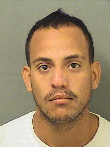 AMILCAR SANTOSVIERA Results from Palm Beach County Florida for AMILCAR SANTOSVIERA AMILCAR SANTOSVIERA Results from Palm Beach County Florida for AMILCAR SANTOSVIERA