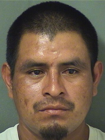  ARMANDO SEBASTIANMATEO Resultados de la busqueda para Palm Beach County Florida para  ARMANDO SEBASTIANMATEO