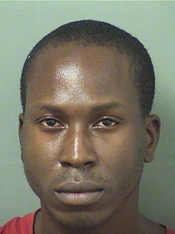  WILLIAM RASHAD HENRI Results from Palm Beach County Florida for  WILLIAM RASHAD HENRI