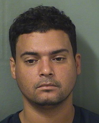  JORGE LUIS HERNANDEZ Results from Palm Beach County Florida for  JORGE LUIS HERNANDEZ