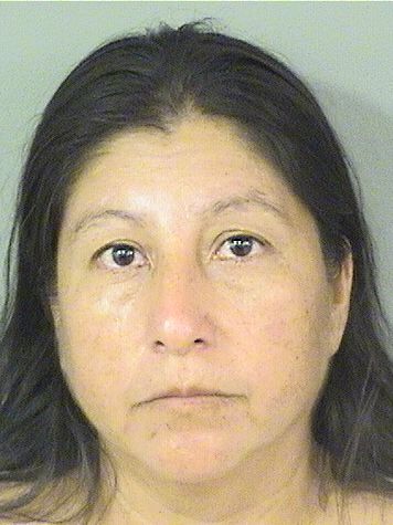  FLORINDA ELODIA PEREZGONZALEZ Results from Palm Beach County Florida for  FLORINDA ELODIA PEREZGONZALEZ