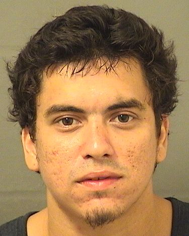  JOMAR GABRIEL MALAVEMARTINEZ Results from Palm Beach County Florida for  JOMAR GABRIEL MALAVEMARTINEZ