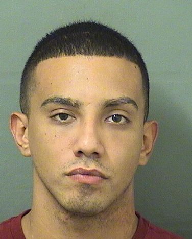 WILLIAM ROCCO HODGE Results from Palm Beach County Florida for WILLIAM ROCCO HODGE WILLIAM ROCCO HODGE Results from Palm Beach County Florida for WILLIAM ROCCO HODGE