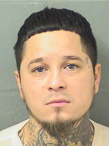  FERNANDO VEGA Results from Palm Beach County Florida for  FERNANDO VEGA