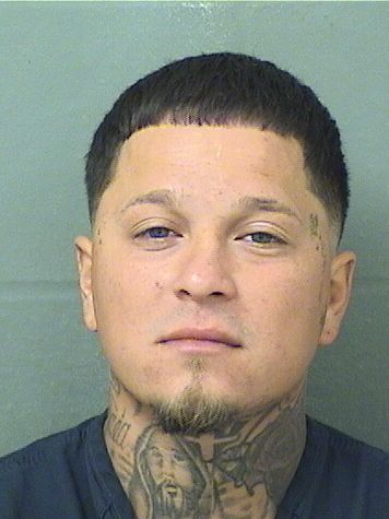  FERNANDO VEGA Results from Palm Beach County Florida for  FERNANDO VEGA