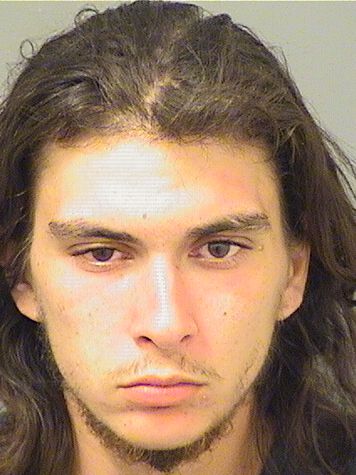  JESSE S D DELROSSI Results from Palm Beach County Florida for  JESSE S D DELROSSI