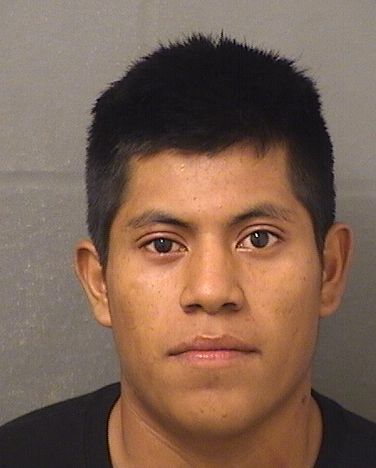  RICARDO DOMINGOFRANCISCO Results from Palm Beach County Florida for  RICARDO DOMINGOFRANCISCO