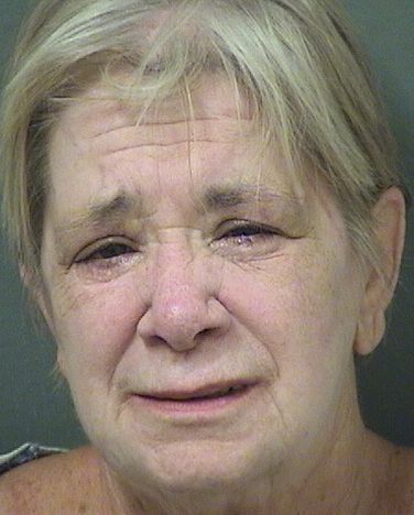  ROCHELLE CAMPANELLA Results from Palm Beach County Florida for  ROCHELLE CAMPANELLA