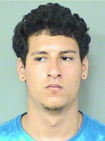  ALEXANDER RAY MEESE Resultados de la busqueda para Palm Beach County Florida para  ALEXANDER RAY MEESE