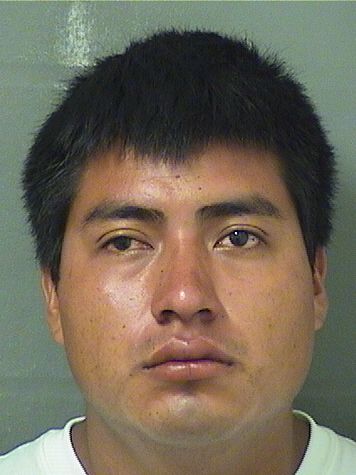  ALEJANDRO PASCUAL Photo For  ALEJANDRO PASCUAL