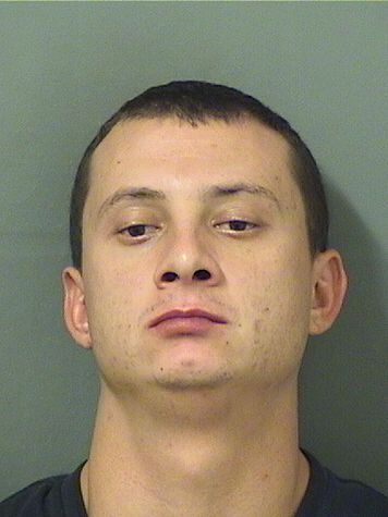  DAVID MICHAEL CIPRIANI Results from Palm Beach County Florida for  DAVID MICHAEL CIPRIANI