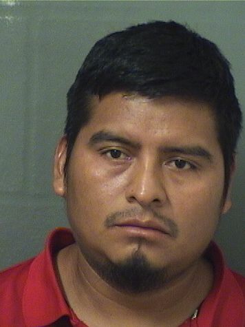  RONY EDWARD TOMASLOPEZ Photo For  RONY EDWARD TOMASLOPEZ