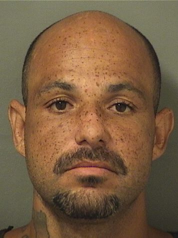  SHANNON HOLLINGSWORTH Photo For  SHANNON HOLLINGSWORTH