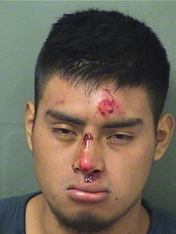  JULIO VELASQUEZ Results from Palm Beach County Florida for  JULIO VELASQUEZ