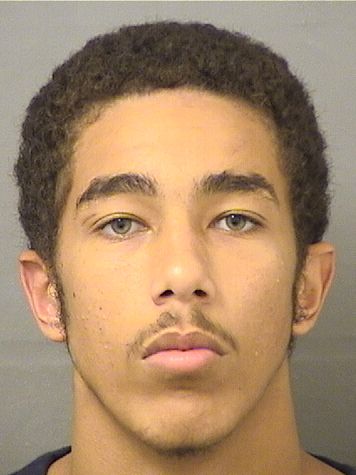  DAVID LEON MONROESCARBORO Resultados de la busqueda para Palm Beach County Florida para  DAVID LEON MONROESCARBORO