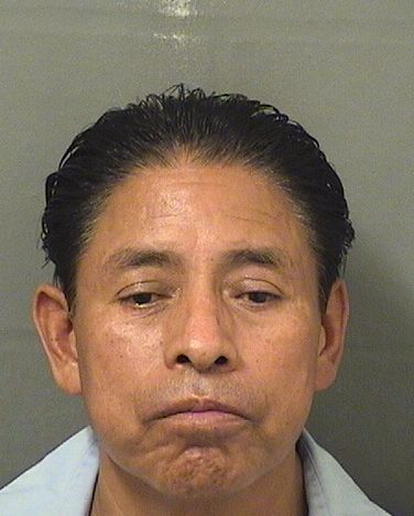  MARTIN HERNANDEZ Results from Palm Beach County Florida for  MARTIN HERNANDEZ