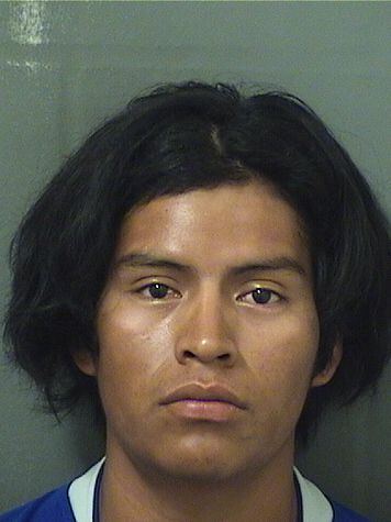  ALVARO PEREZLOPEZ Photo For  ALVARO PEREZLOPEZ