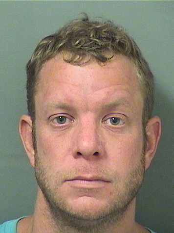  DAVID T GREENBERG Results from Palm Beach County Florida for  DAVID T GREENBERG