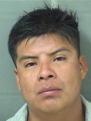  PEDRO ALONSO Resultados de la busqueda para Palm Beach County Florida para  PEDRO ALONSO