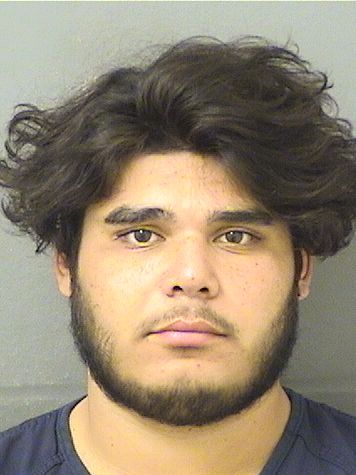  ALEXANDER E MARTINEZVARGAS Resultados de la busqueda para Palm Beach County Florida para  ALEXANDER E MARTINEZVARGAS