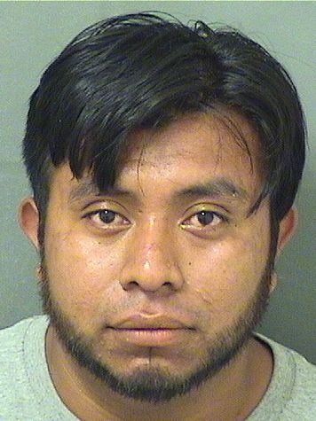  ALVARO O SEBASTIAN REANDA Results from Palm Beach County Florida for  ALVARO O SEBASTIAN REANDA