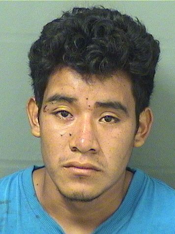  UBALDO MORALESRAMIREZ Results from Palm Beach County Florida for  UBALDO MORALESRAMIREZ