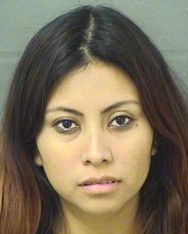  CAROLA R LOPEZTUCUBAL Results from Palm Beach County Florida for  CAROLA R LOPEZTUCUBAL