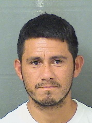  GERSON ADALID SANTOSLARA Resultados de la busqueda para Palm Beach County Florida para  GERSON ADALID SANTOSLARA