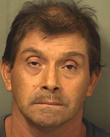  FIDAEL DEJESUS SALESGOMEZ Results from Palm Beach County Florida for  FIDAEL DEJESUS SALESGOMEZ
