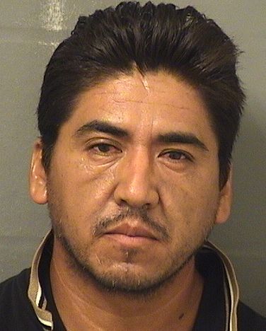  JOSE SOTELO BARRON Results from Palm Beach County Florida for  JOSE SOTELO BARRON