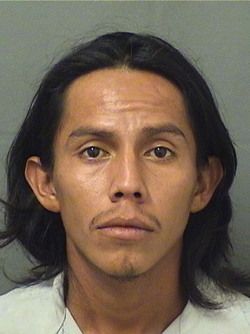  ORLANDO PEREZ HERNANDEZ Results from Palm Beach County Florida for  ORLANDO PEREZ HERNANDEZ