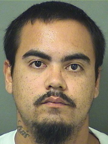  LUIS HOBRYAN CENTENO Resultados de la busqueda para Palm Beach County Florida para  LUIS HOBRYAN CENTENO