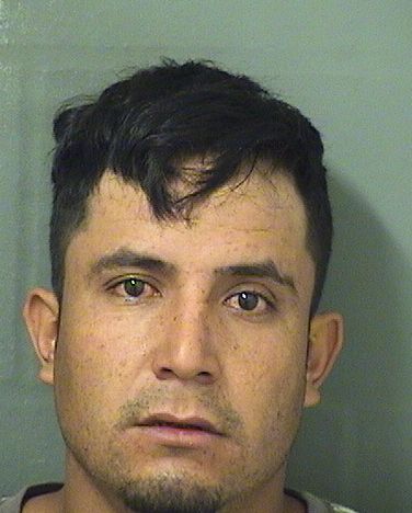  AARON GUADALUPE LIMONESDIAZ Results from Palm Beach County Florida for  AARON GUADALUPE LIMONESDIAZ