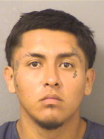  CHRISTIAN GUILLERMO ALEGRE DELGADO Photo For  CHRISTIAN GUILLERMO ALEGRE DELGADO
