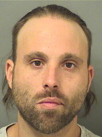  MICHAEL ANTHONY MADDALONI Results from Palm Beach County Florida for  MICHAEL ANTHONY MADDALONI