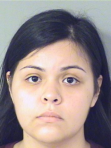  ANGELICA P URRESTA Results from Palm Beach County Florida for  ANGELICA P URRESTA