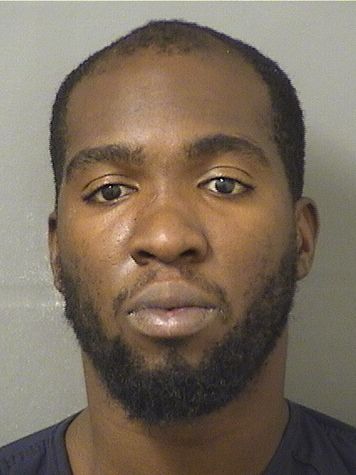  STEVEN MATHIEU Results from Palm Beach County Florida for  STEVEN MATHIEU