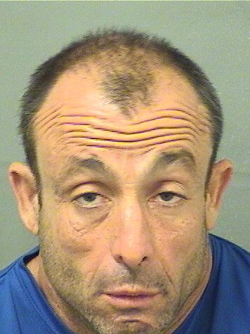  RONALD MARTIN DEBISO Results from Palm Beach County Florida for  RONALD MARTIN DEBISO